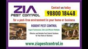 Restaurant and Residence pest service 
